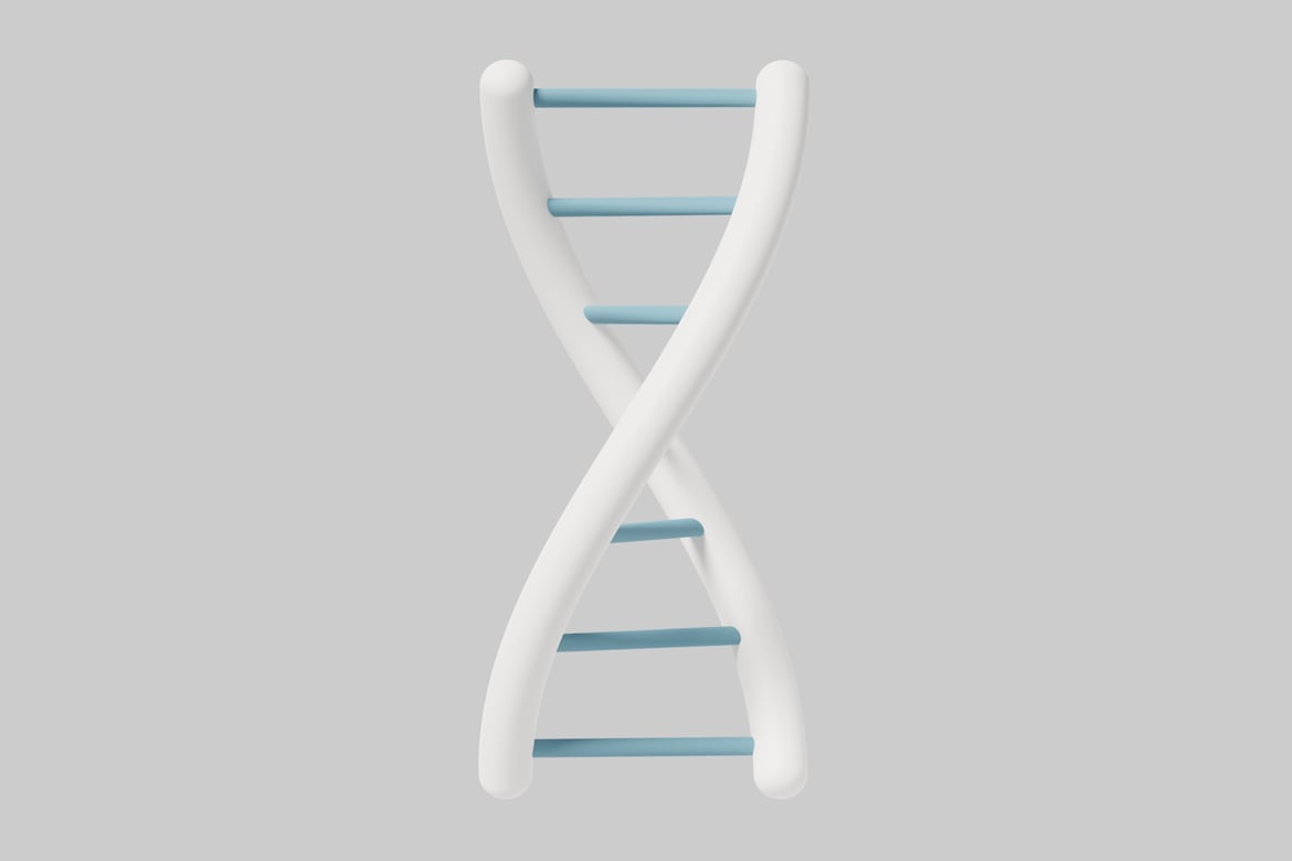 Download DNA double helix 3D Model