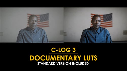 Download Documentary Canon C-Log3 And Standard Color LUTs Apple Motion Template