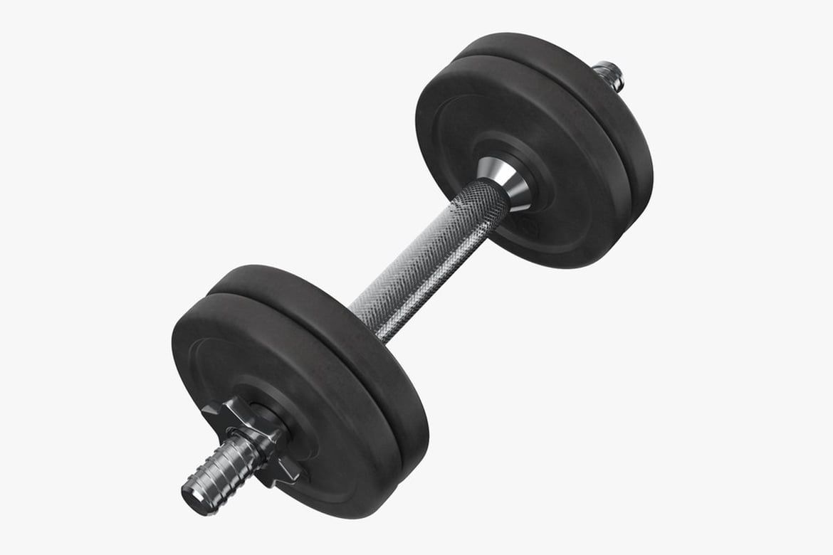 Download Dumbbell with Knurled Grip and Black Circular Weights 3D Model