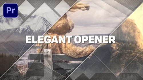 Download Elegant Opener Premiere Pro Template