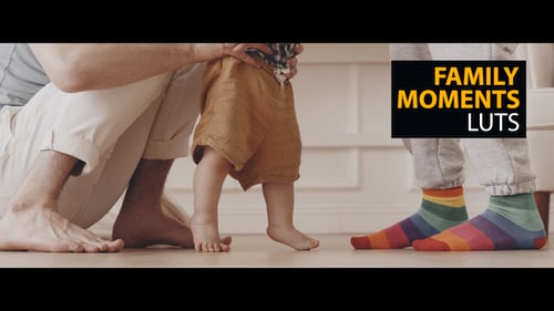 Download Family Moments Color LUTs Final Cut Pro Template