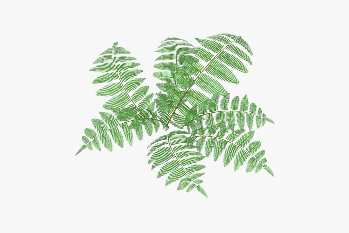 Download Fern Bush with Vibrant Green Foliage 3D Model