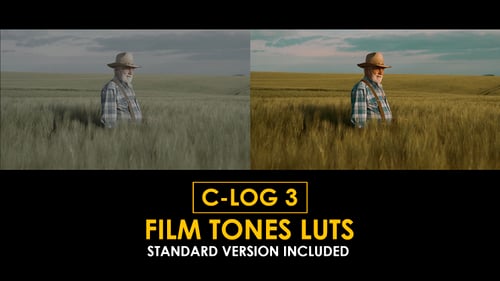 Download Film Tones Canon C-Log3 And Standard Color Luts Apple Motion Template