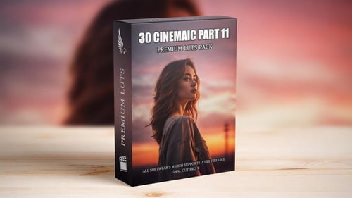 Download FilmMaker's Dream LUTs Pack - Ultimate Grading Presets for Videos Apple Motion Template