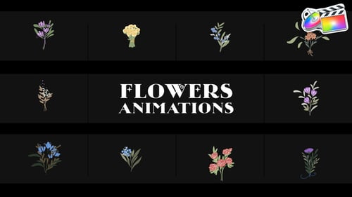 Download Flowers Falling Into Petals Animations for FCPX Apple Motion Template