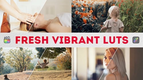 Download Fresh Vibrant LUTs | FCPX & Apple Motion Apple Motion Template