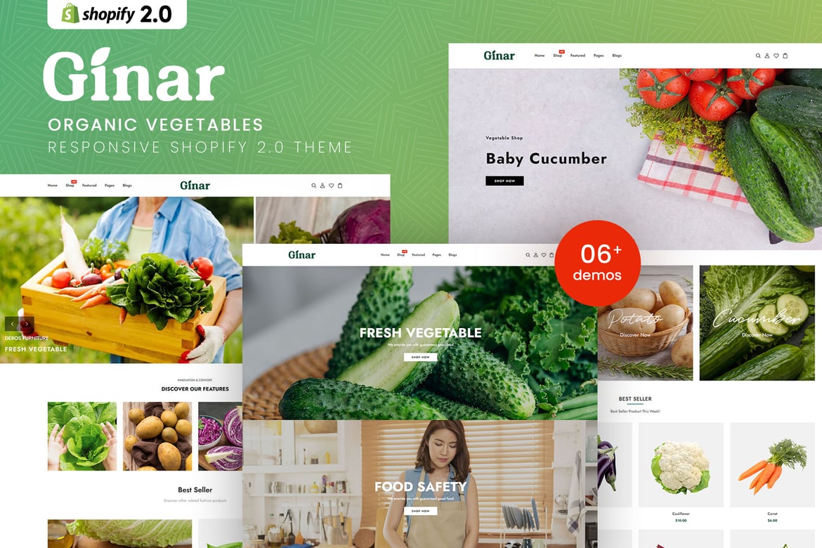 Download Gınar - Organic Vegetables Shopify 2.0 Theme