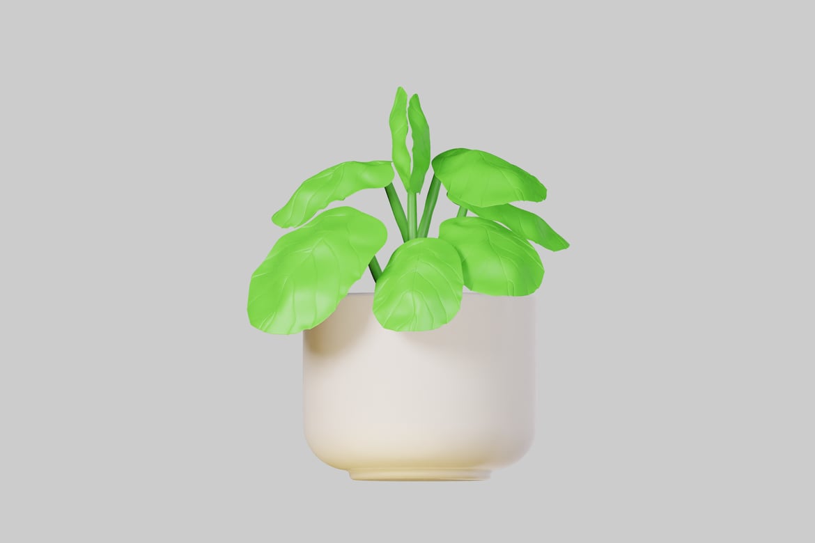 Download Green Plant in a White Pot 3D Model