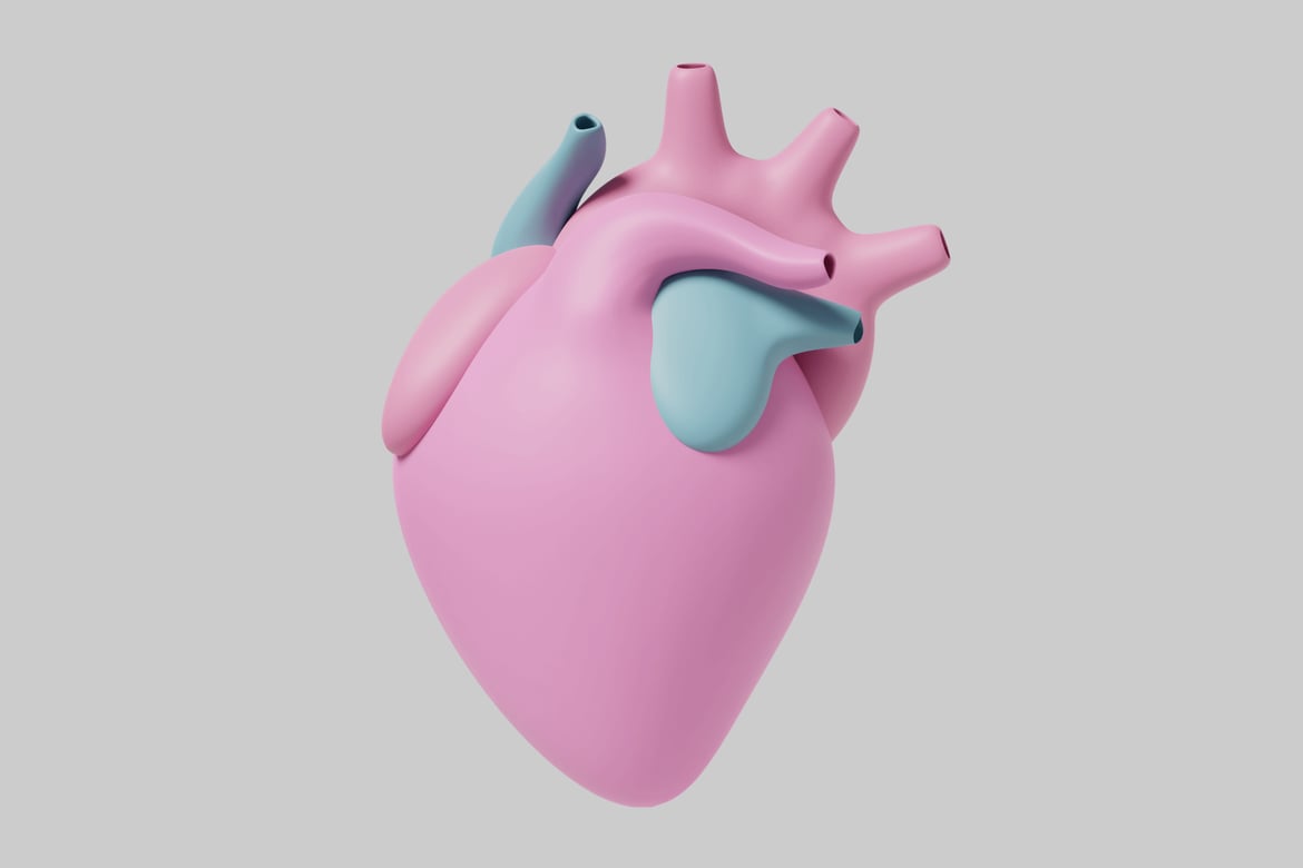 Download Heart with two blue tubes. 3D Model