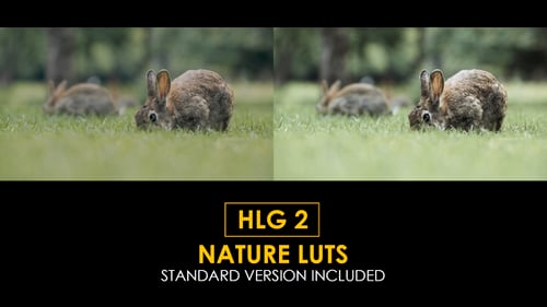 Download HLG2 Nature and Standard Luts Apple Motion Template