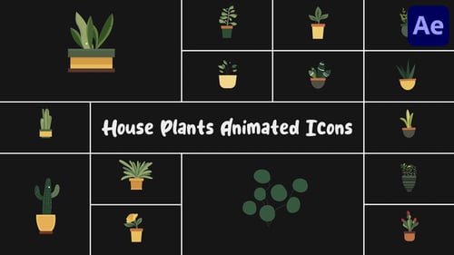 Download House Plants Animated Icons for After Effects After Effect Template