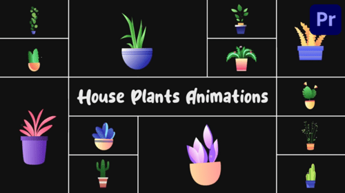 Download House Plants Animations for Premiere Pro Premiere Pro Template