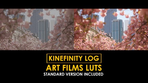 Download Kinefinity Log Art Films and Standard Color LUTs Apple Motion Template