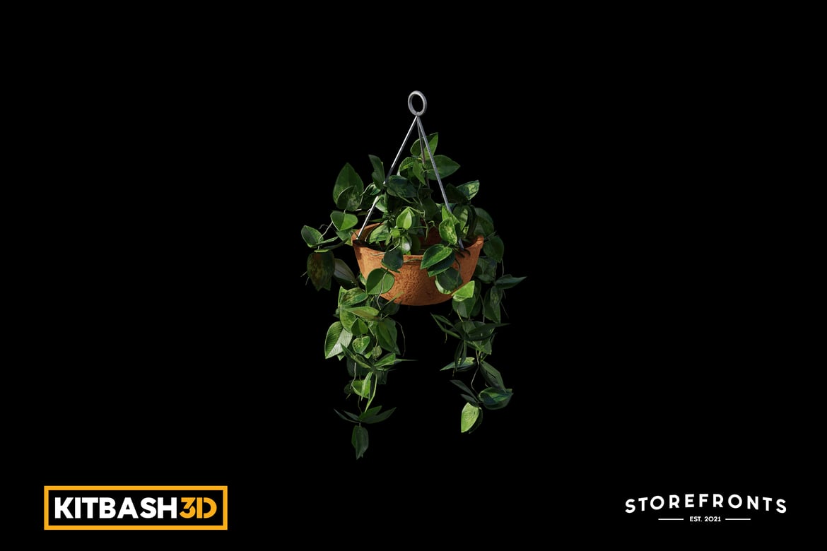 Download Kitbash: Storefronts - Hanging Pothos Plant 3D Model