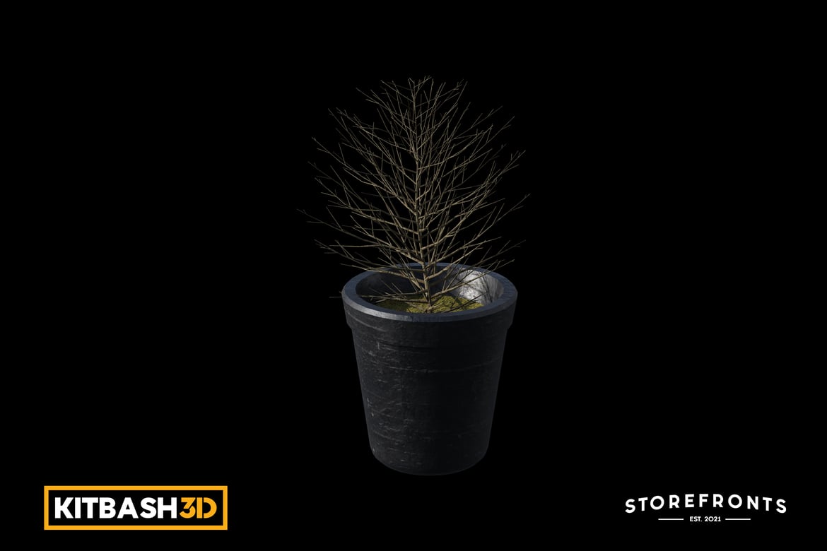 Download Kitbash: Storefronts - Potted Leafless Shrub 3D Model