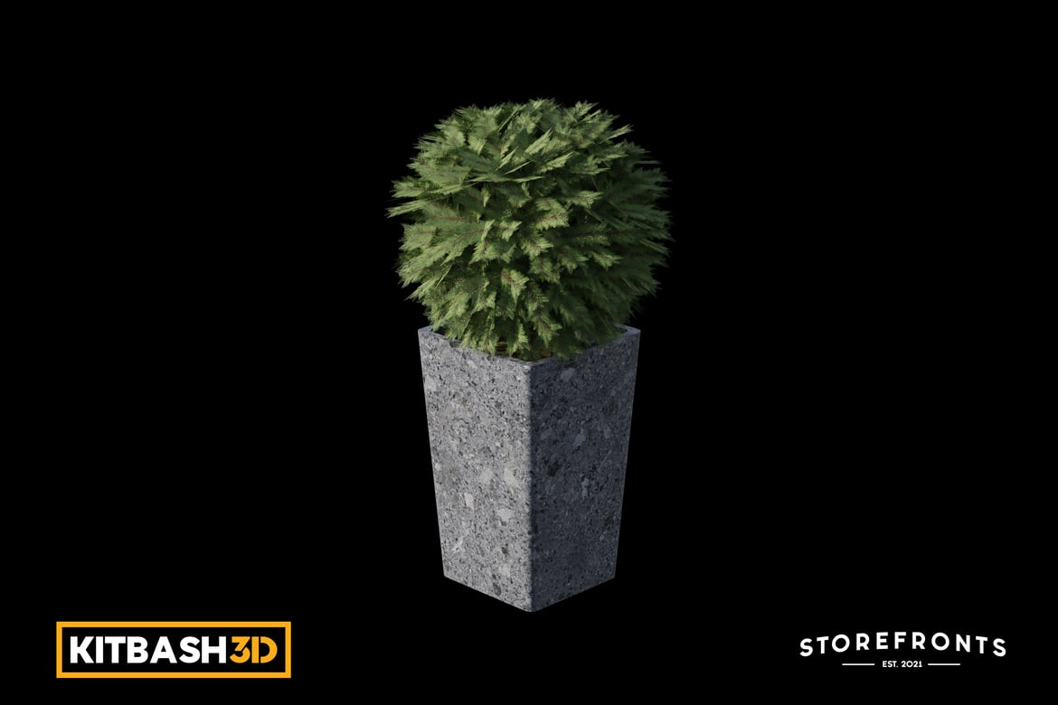 Download Kitbash: Storefronts - Potted Shrub 3D Model