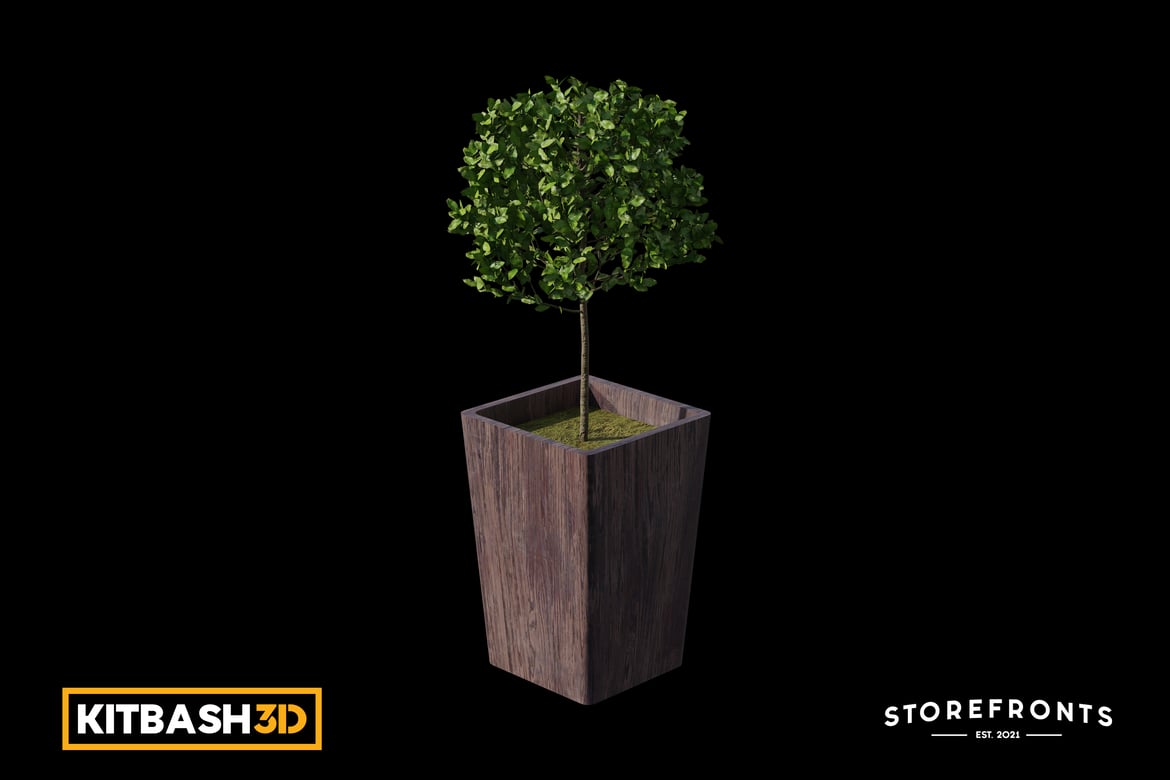 Download Kitbash: Storefronts - Potted Small Tree 3D Model