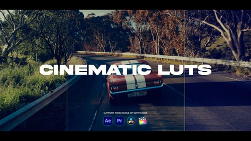 Download LUTs Pack | FCPX Apple Motion Template