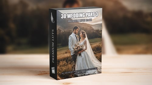 Download Master Wedding Videography: 30 Premium Cinematic LUTs - Ideal for Professional Videographers Final Cut Pro Template