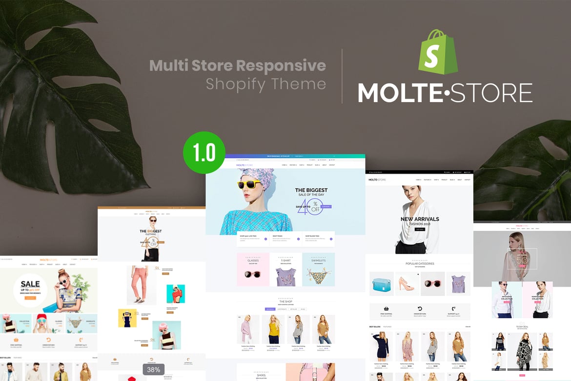 Download MolteStore - Multi Store Responsive Shopify Theme