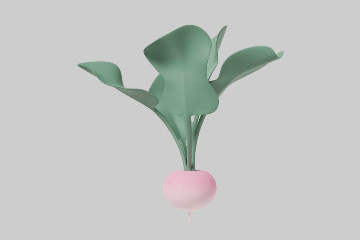 Download Pink and green plant with calla lily-shaped leaves 3D Model