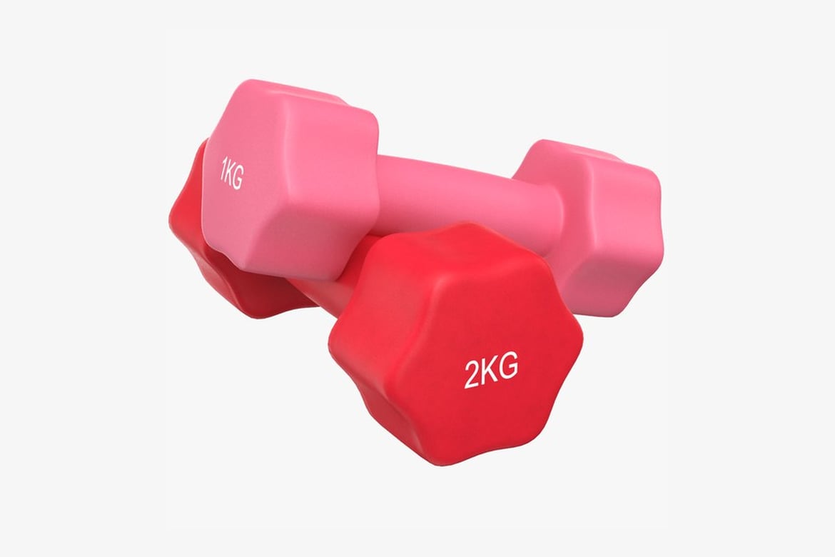 Download Pink and Red Dumbbells 1Kg and 2Kg 3D Model