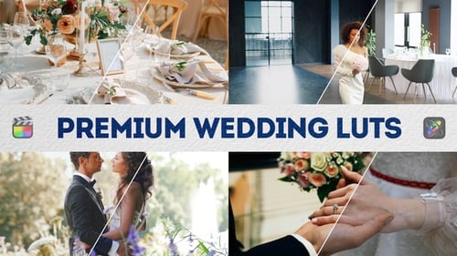 Download Premium Wedding LUTs | FCPX & Apple Motion Apple Motion Template