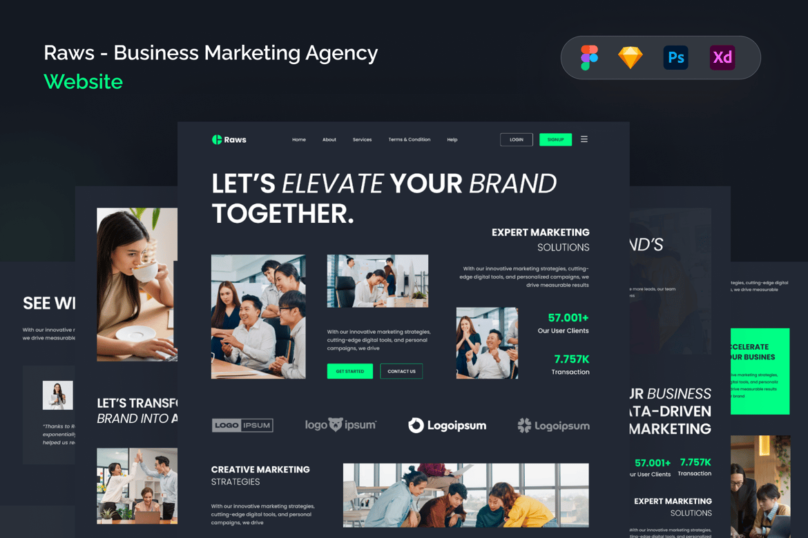 Download Raws - Business Marketing Agency Website Figma Design