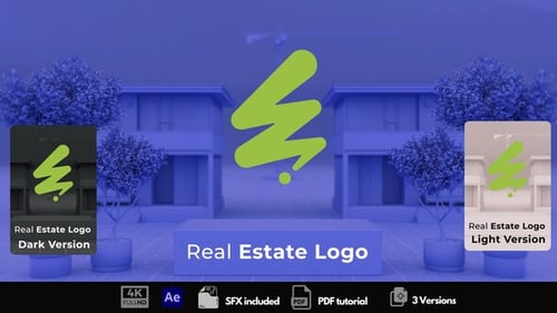 Download Real Estate Logo After Effect Template