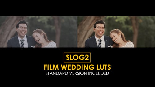 Download Slog2 Film Wedding and Standard Color Luts Apple Motion Template