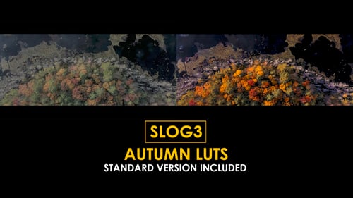 Download Slog3 Autumn and Standard LUTs Apple Motion Template