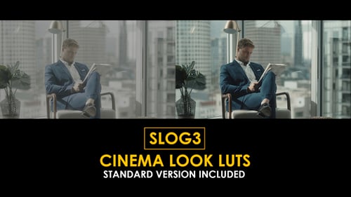 Download Slog3 Cinema Look and Standard Color LUTs Apple Motion Template