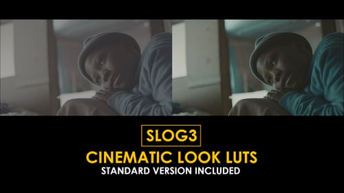 Download Slog3 Cinematic Look and Standard Color LUTs Apple Motion Template