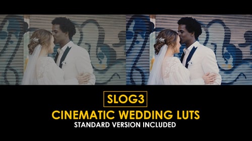 Download Slog3 Cinematic Wedding and Standard Color LUTs Apple Motion Template