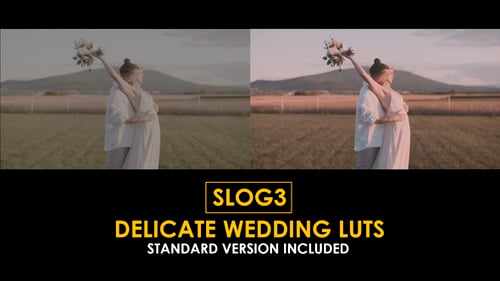 Download Slog3 Delicate Wedding and Standard Color LUTs Apple Motion Template