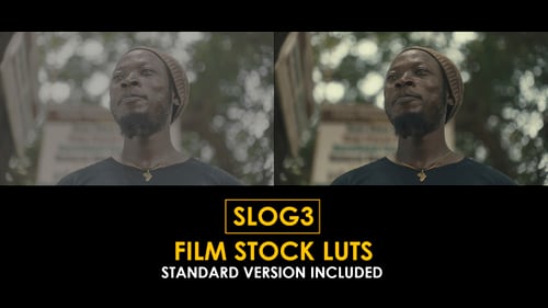 Download Slog3 Film Stock and Standard Color LUTs Apple Motion Template