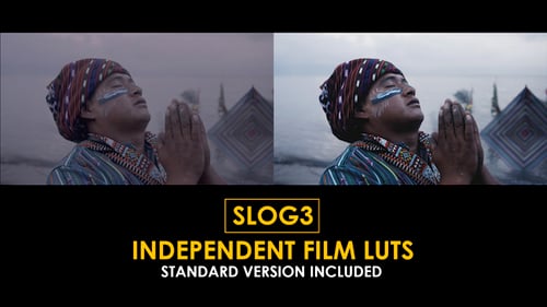 Download Slog3 Independent Film and Standard Color LUTs Apple Motion Template