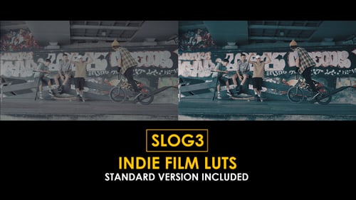 Download Slog3 Indie Film and Standard Color LUTs Apple Motion Template