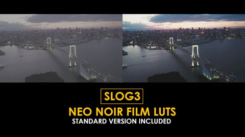 Download Slog3 Neo Noir Film and Standard Color LUTs Apple Motion Template