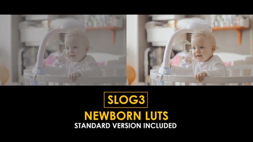 Download Slog3 Newborn and Standard Color LUTs Apple Motion Template