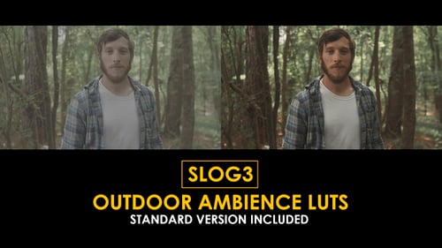 Download Slog3 Outdoor Ambience and Standard Color LUTs Apple Motion Template