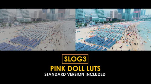 Download Slog3 Pink Doll and Standard Color LUTs Apple Motion Template