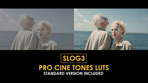 Download Slog3 Pro Cine Tones and Standard Color LUTs Apple Motion Template