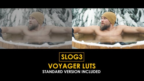 Download Slog3 Professional Filmmaker and Standard Color LUTs Apple Motion Template