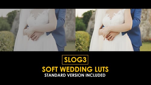 Download Slog3 Soft Wedding and Standard Color LUTs Apple Motion Template