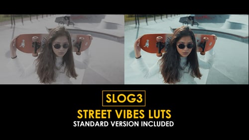 Download Slog3 Street Vibes and Standard Color LUTs Apple Motion Template