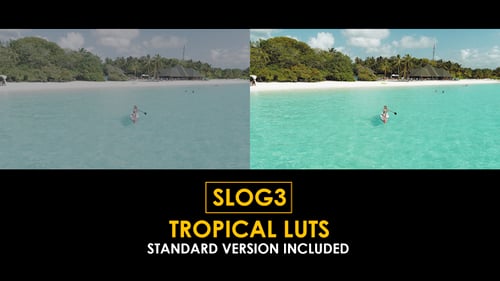 Download Slog3 Tropical and Standard Color LUTs Apple Motion Template