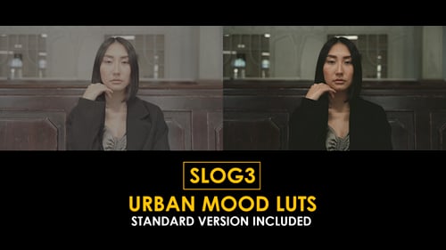 Download Slog3 Urban Mood and Standard Color LUTs Apple Motion Template