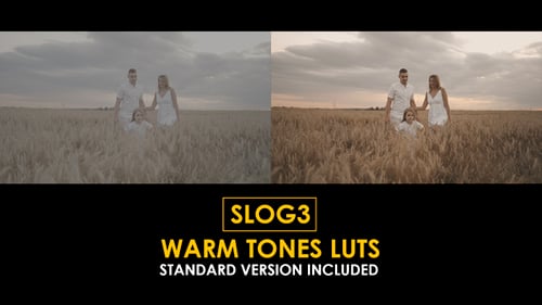 Download Slog3 Warm Tones and Standard Color LUTs Apple Motion Template