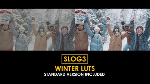 Download Slog3 Winter and Standard Color LUTs Apple Motion Template